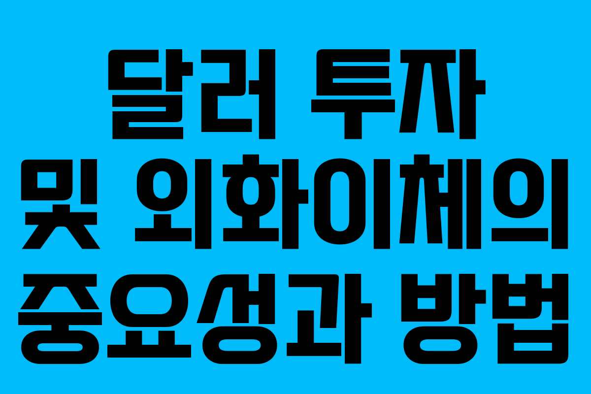 달러 투자 및 외화이체의 중요성과 방법