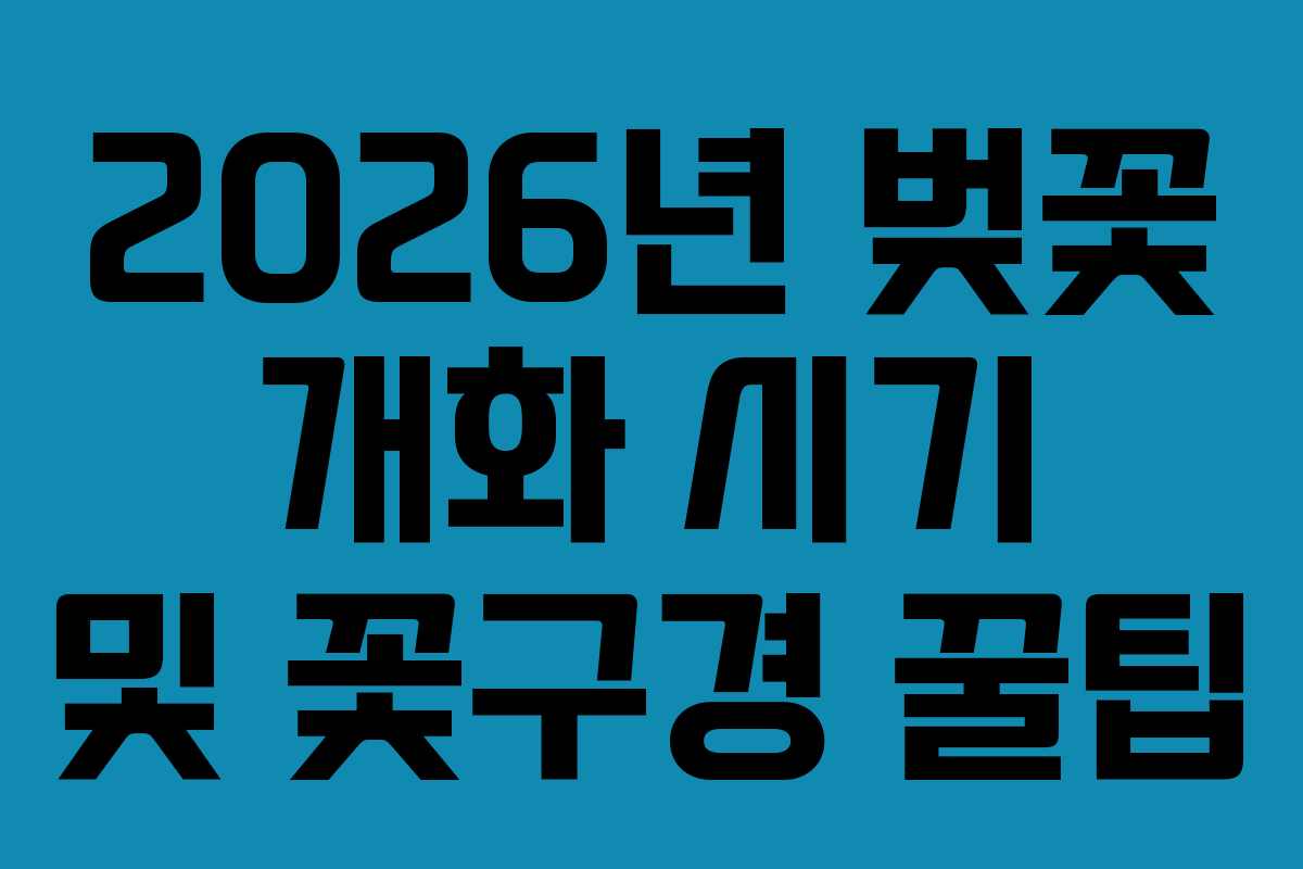2026년 벚꽃 개화 시기 및 꽃구경 꿀팁
