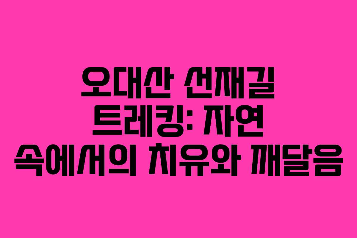 오대산 선재길 트레킹: 자연 속에서의 치유와 깨달음