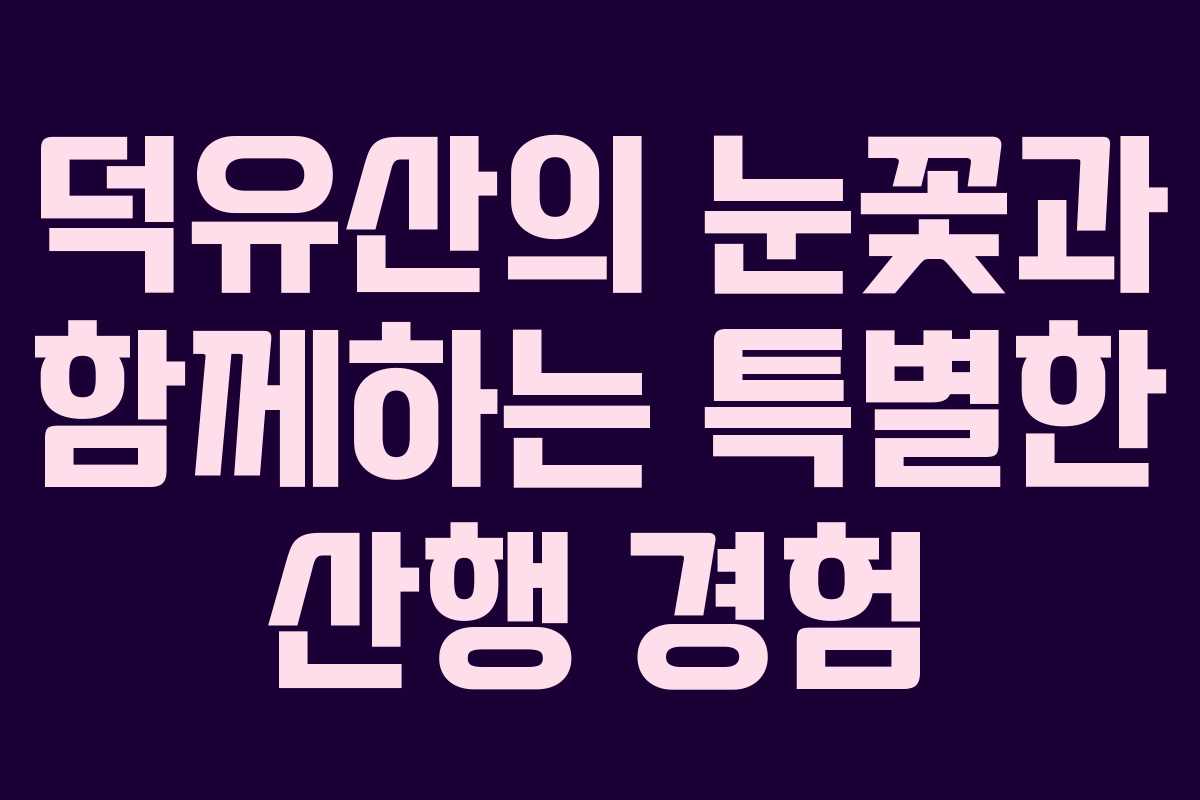 덕유산의 눈꽃과 함께하는 특별한 산행 경험