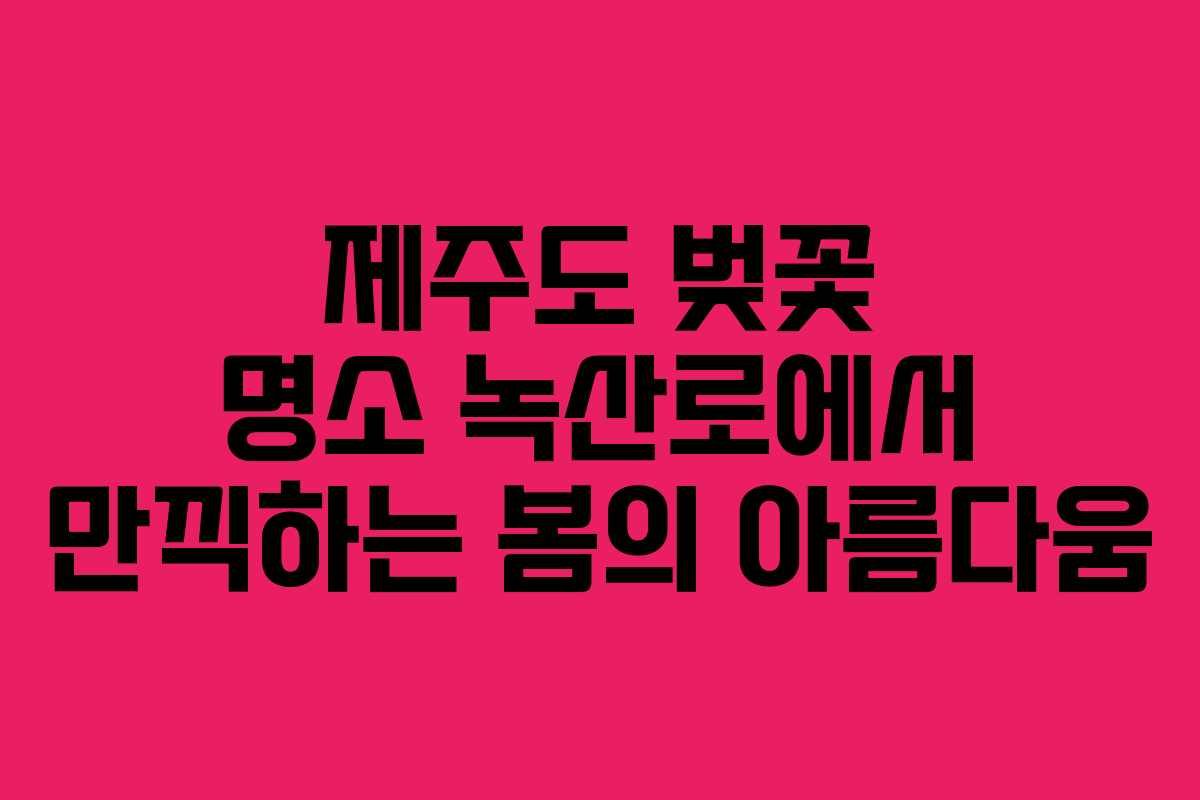 제주도 벚꽃 명소 녹산로에서 만끽하는 봄의 아름다움