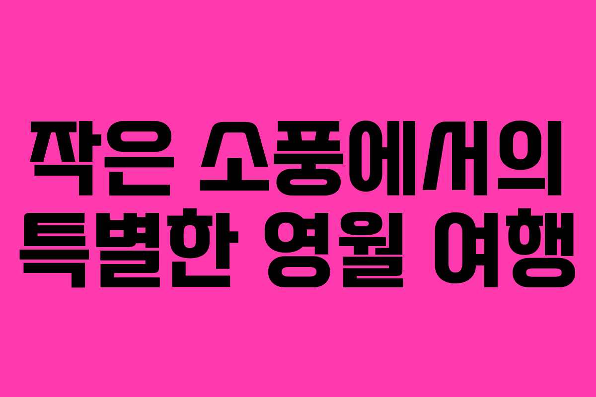 작은 소풍에서의 특별한 영월 여행