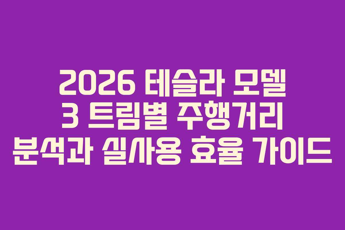 2026 테슬라 모델 3 트림별 주행거리 분석과 실사용 효율 가이드