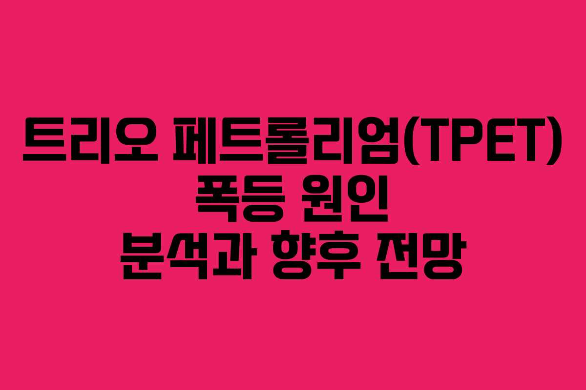 트리오 페트롤리엄(TPET) 폭등 원인 분석과 향후 전망