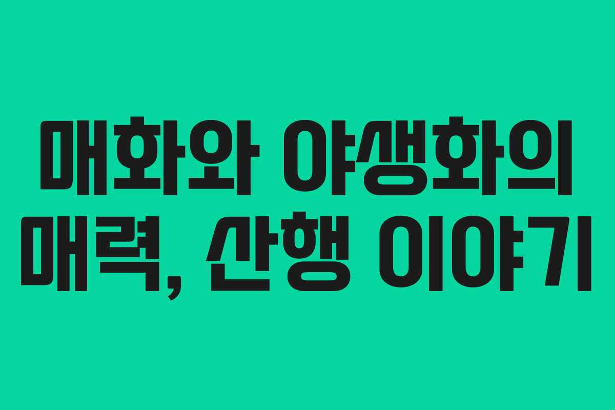 매화와 야생화의 매력, 산행 이야기