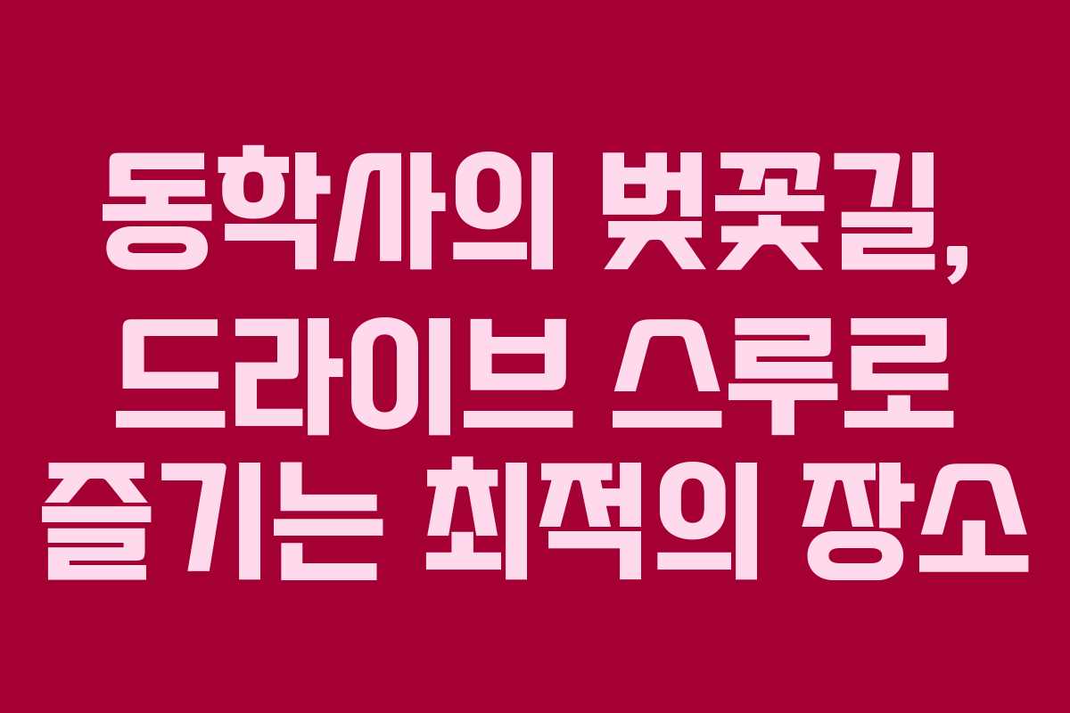 동학사의 벚꽃길, 드라이브 스루로 즐기는 최적의 장소