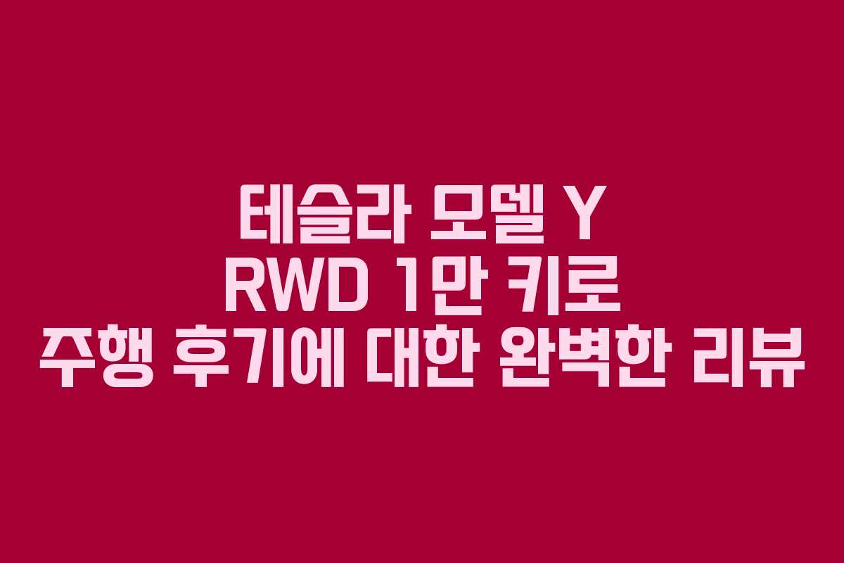 테슬라 모델 Y RWD 1만 키로 주행 후기에 대한 완벽한 리뷰
