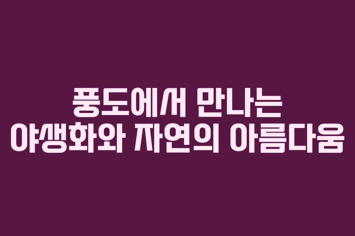 풍도에서 만나는 야생화와 자연의 아름다움