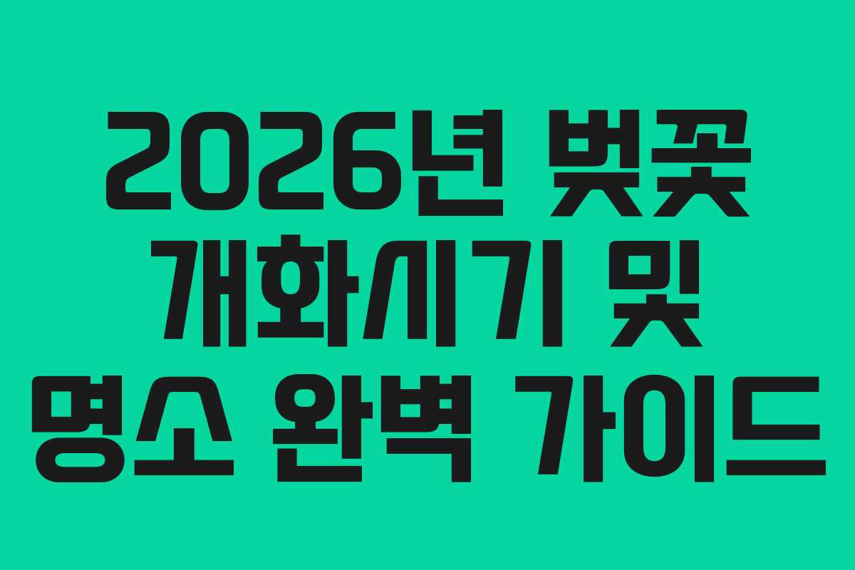 2026년 벚꽃 개화시기 및 명소 완벽 가이드