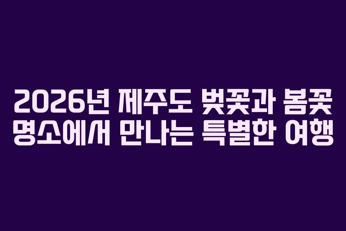 2026년 제주도 벚꽃과 봄꽃 명소에서 만나는 특별한 여행