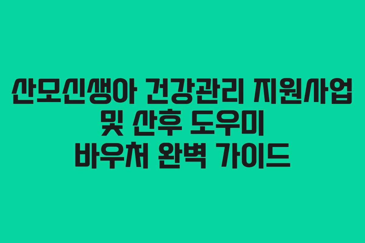 산모신생아 건강관리 지원사업 및 산후 도우미 바우처 완벽 가이드