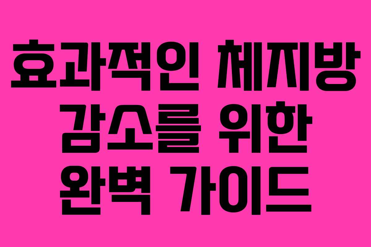 효과적인 체지방 감소를 위한 완벽 가이드