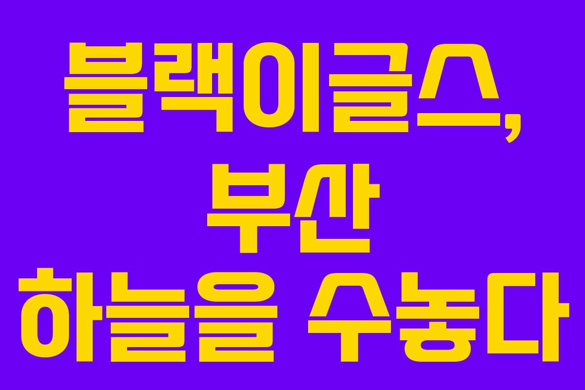 블랙이글스, 부산 하늘을 수놓다