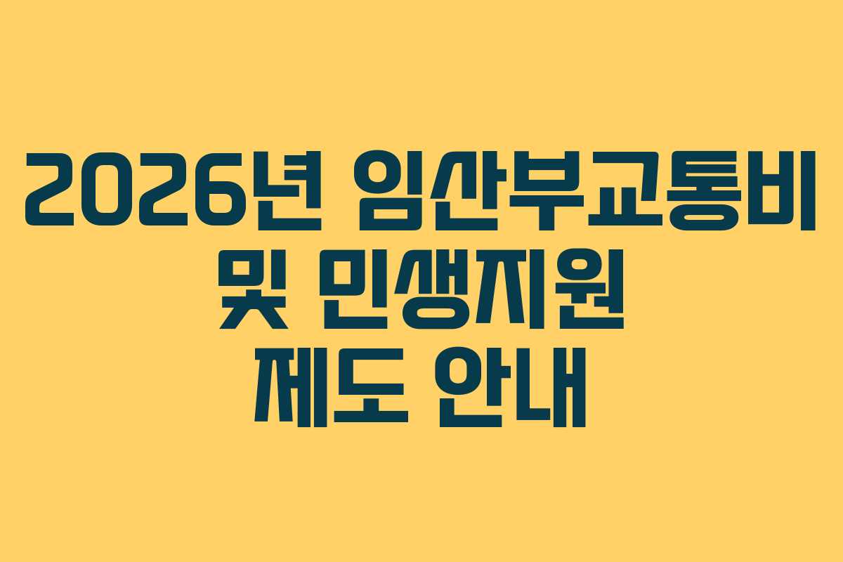 2026년 임산부교통비 및 민생지원 제도 안내