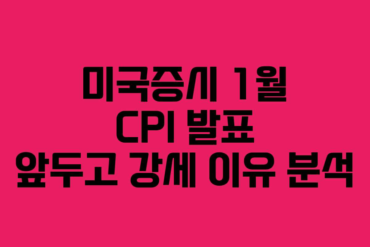 미국증시 1월 CPI 발표 앞두고 강세 이유 분석