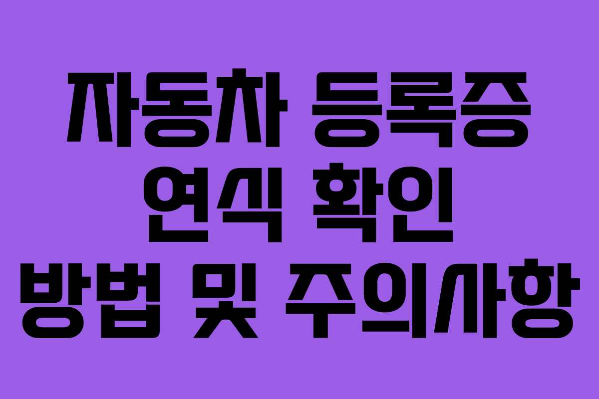 자동차 등록증 연식 확인 방법 및 주의사항