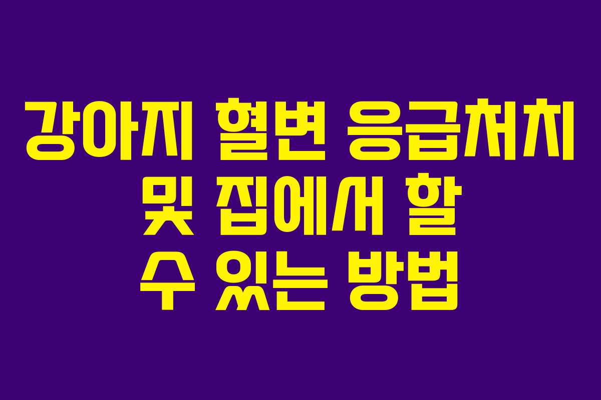 강아지 혈변 응급처치 및 집에서 할 수 있는 방법