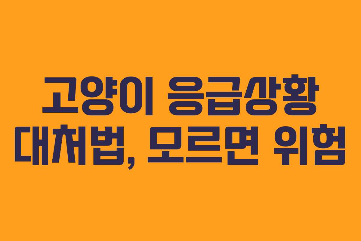 고양이 응급상황 대처법, 모르면 위험