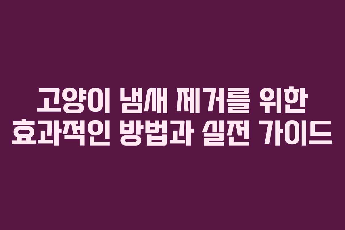고양이 냄새 제거를 위한 효과적인 방법과 실전 가이드