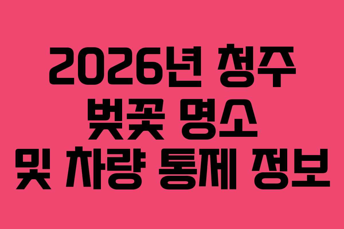 2026년 청주 벚꽃 명소 및 차량 통제 정보