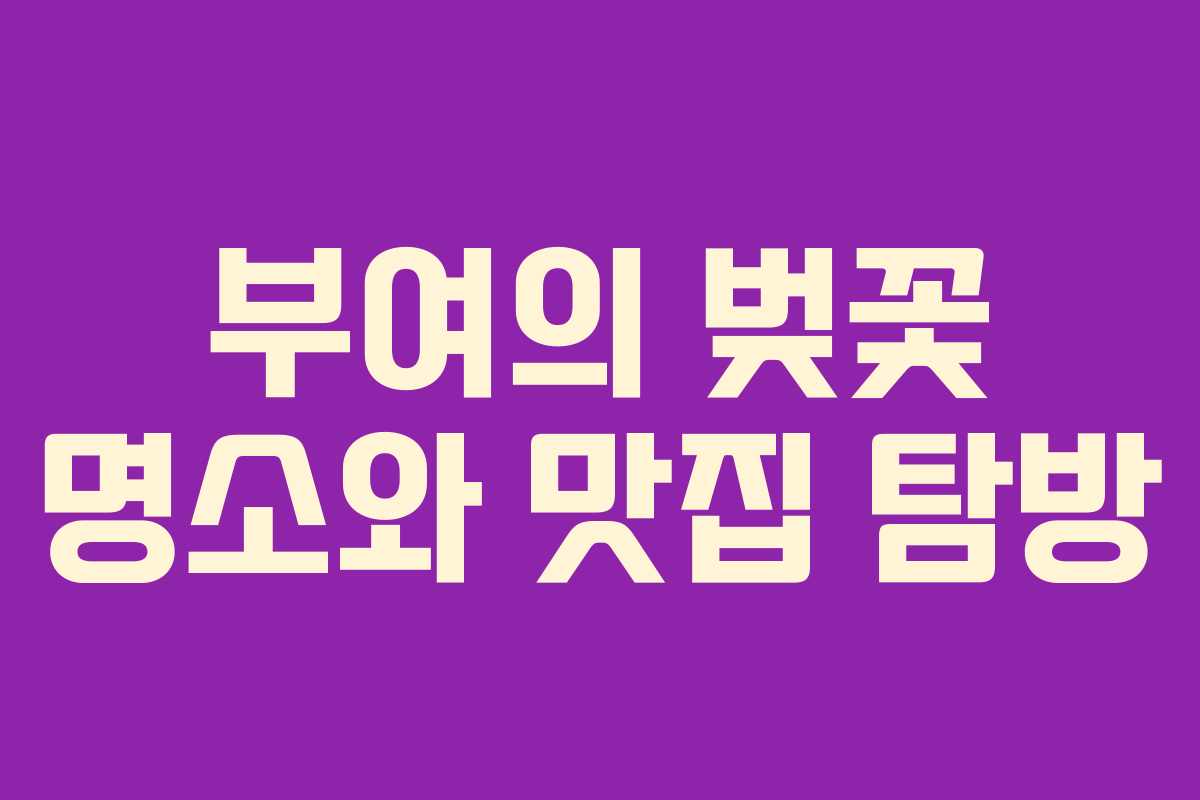 부여의 벚꽃 명소와 맛집 탐방