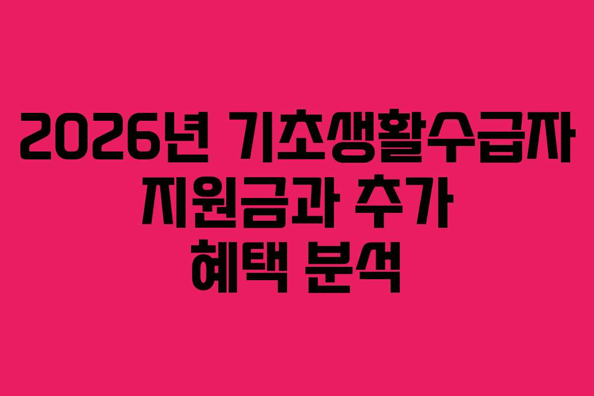2026년 기초생활수급자 지원금과 추가 혜택 분석