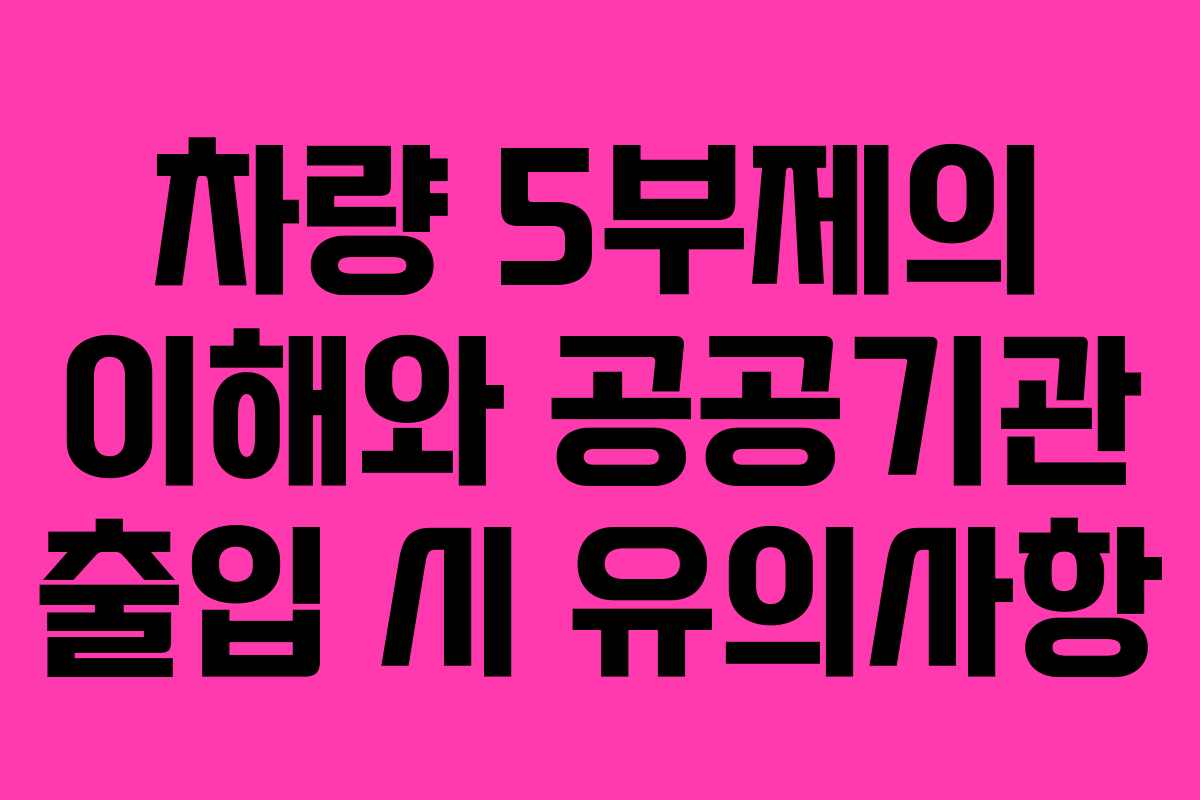 차량 5부제의 이해와 공공기관 출입 시 유의사항