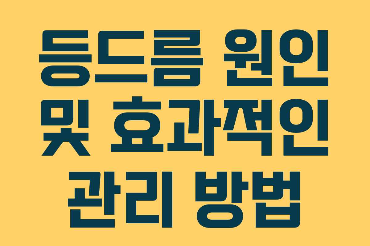 등드름 원인 및 효과적인 관리 방법