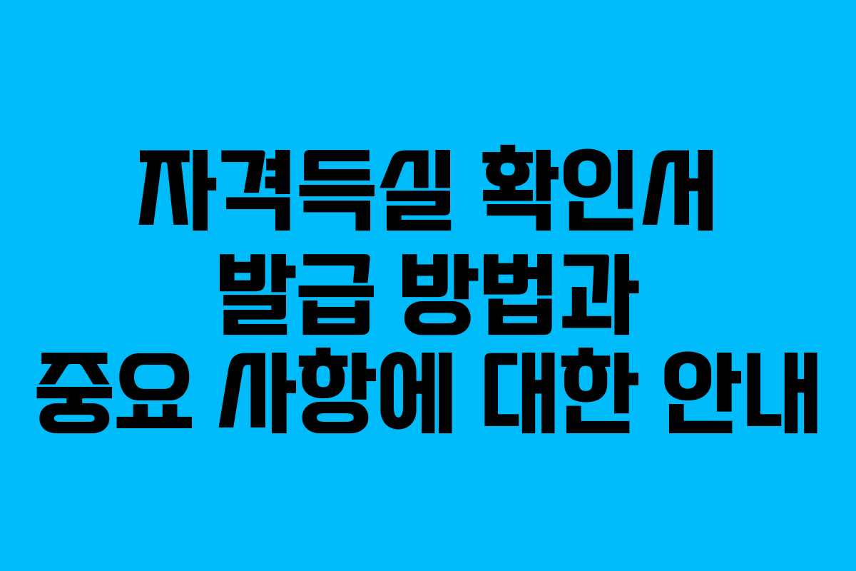 자격득실 확인서 발급 방법과 중요 사항에 대한 안내