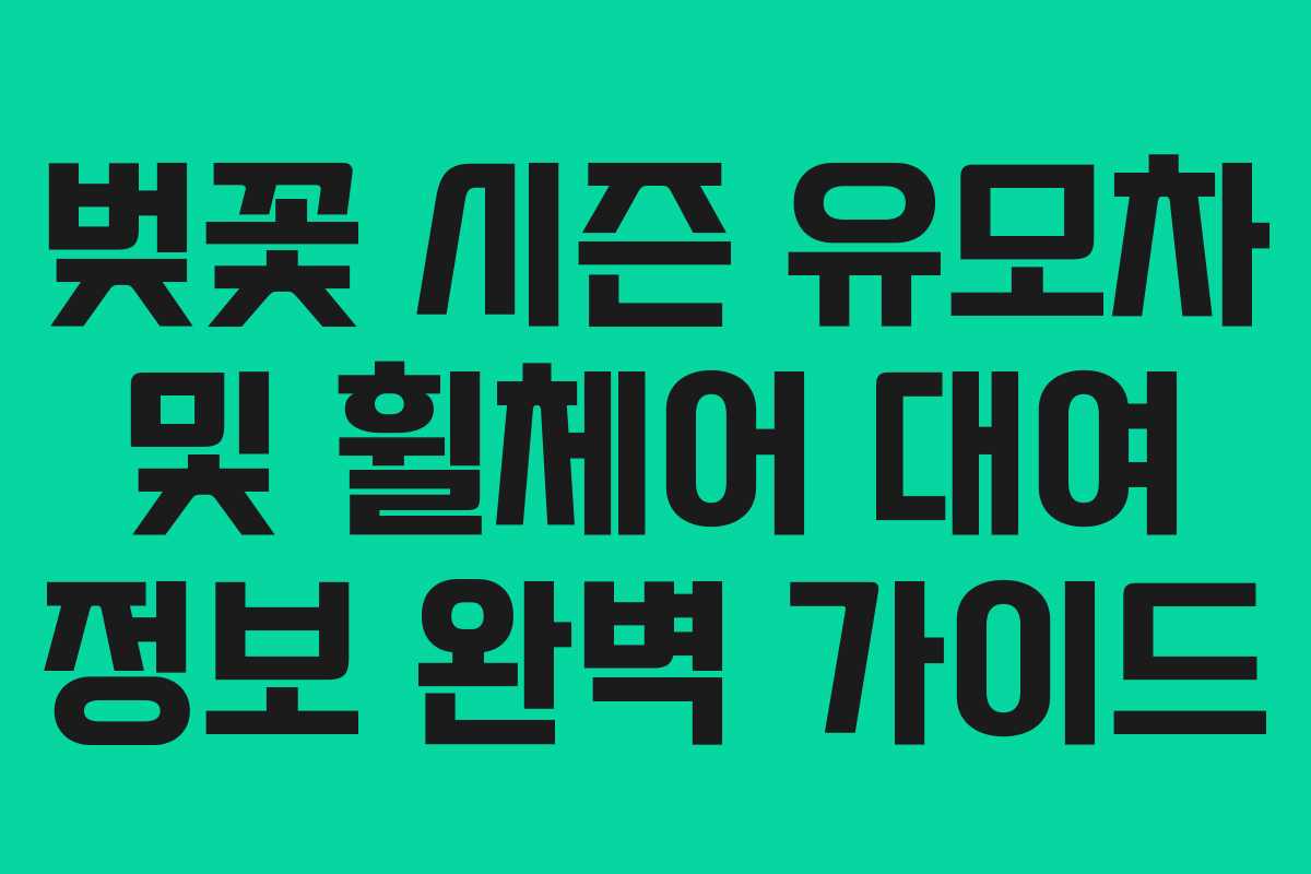 벚꽃 시즌 유모차 및 휠체어 대여 정보 완벽 가이드