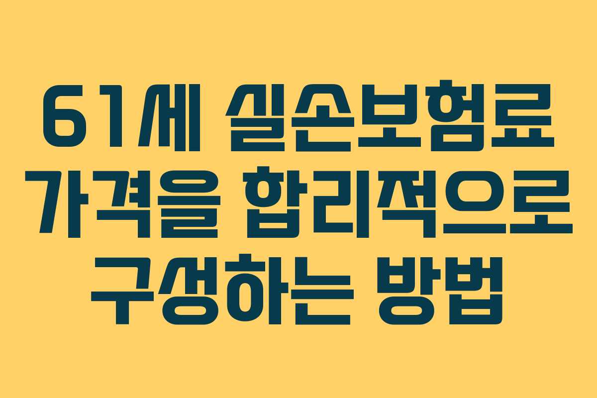 61세 실손보험료 가격을 합리적으로 구성하는 방법