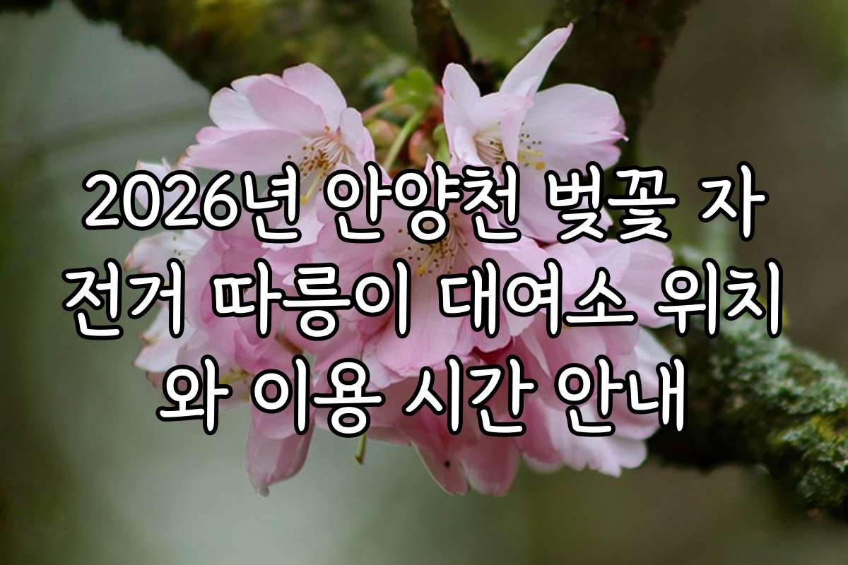 2026년 안양천 벚꽃 자전거 따릉이 대여소 위치와 이용 시간 안내