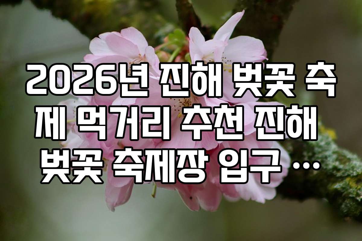 2026년 진해 벚꽃 축제 먹거리 추천 진해 벚꽃 축제장 입구 토스트 정보