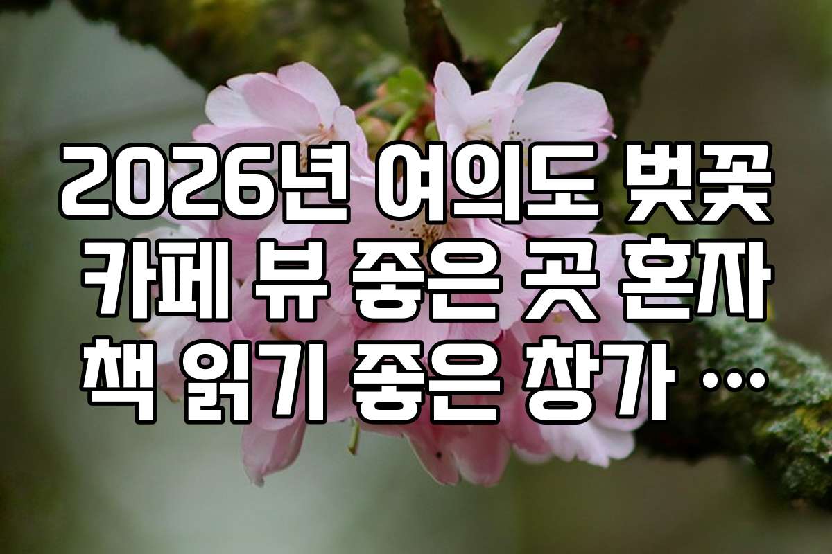 2026년 여의도 벚꽃 카페 뷰 좋은 곳 혼자 책 읽기 좋은 창가 자리 팁