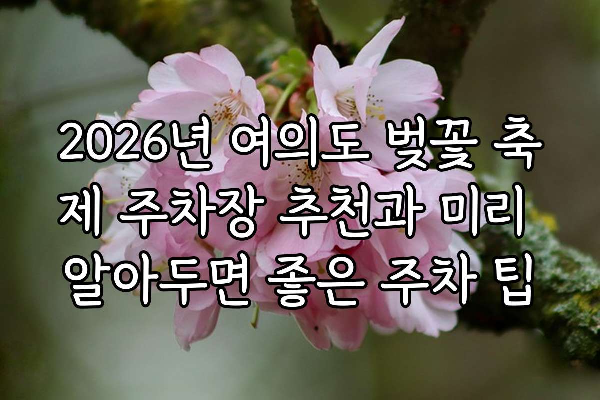 2026년 여의도 벚꽃 축제 주차장 추천과 미리 알아두면 좋은 주차 팁