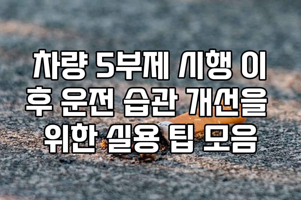 차량 5부제 시행 이후 운전 습관 개선을 위한 실용 팁 모음