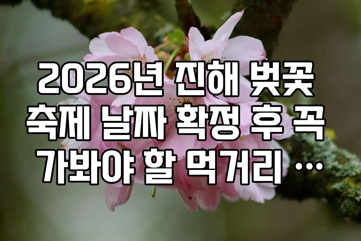 2026년 진해 벚꽃 축제 날짜 확정 후 꼭 가봐야 할 먹거리 시장