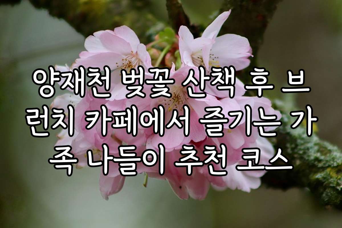 양재천 벚꽃 산책 후 브런치 카페에서 즐기는 가족 나들이 추천 코스