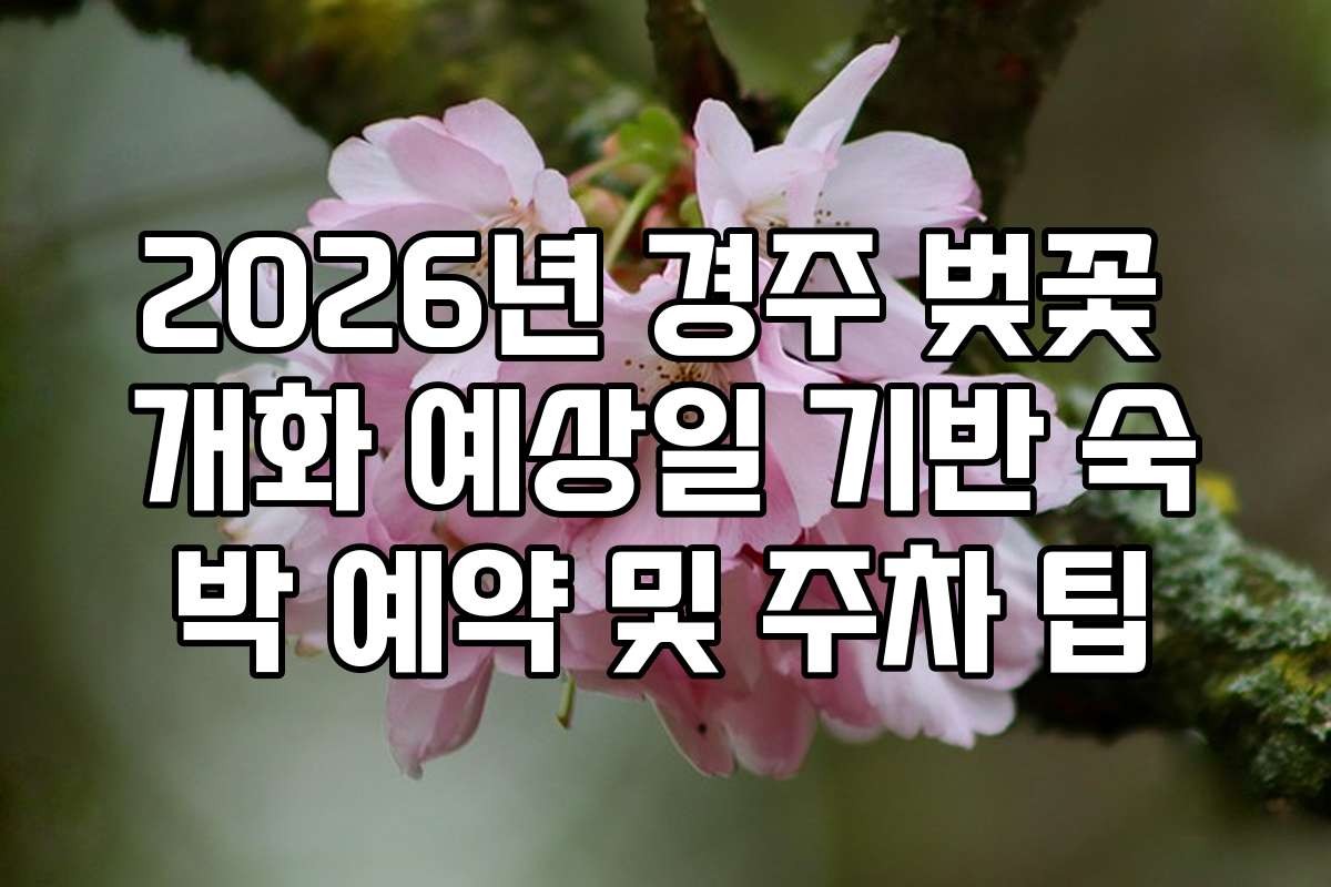 2026년 경주 벚꽃 개화 예상일 기반 숙박 예약 및 주차 팁