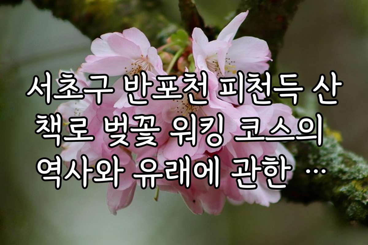 서초구 반포천 피천득 산책로 벚꽃 워킹 코스의 역사와 유래에 관한 흥미로운 이야기