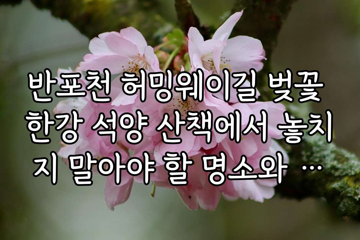 반포천 허밍웨이길 벚꽃 한강 석양 산책에서 놓치지 말아야 할 명소와 추천 코스 안내