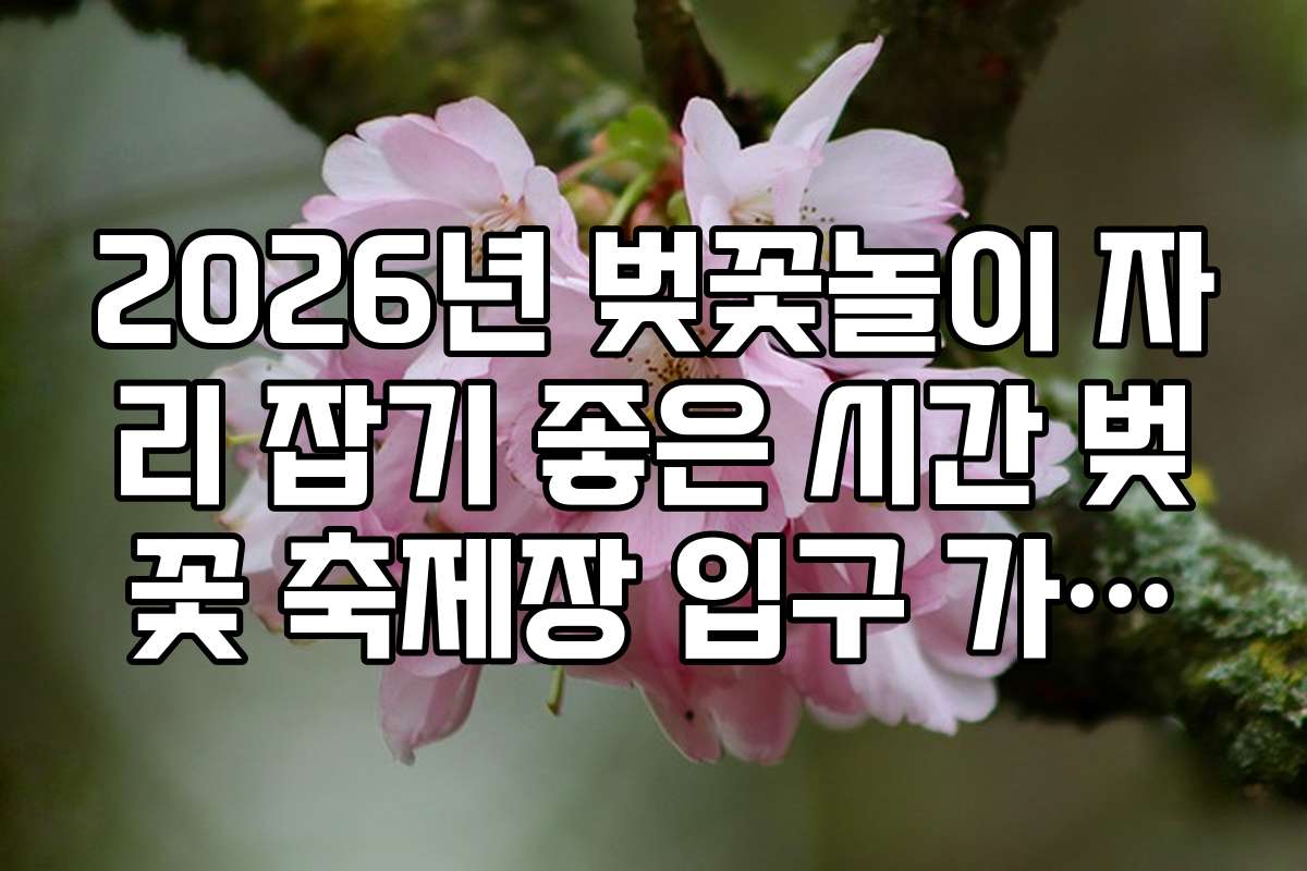 2026년 벚꽃놀이 자리 잡기 좋은 시간 벚꽃 축제장 입구 가까운 자리 팁