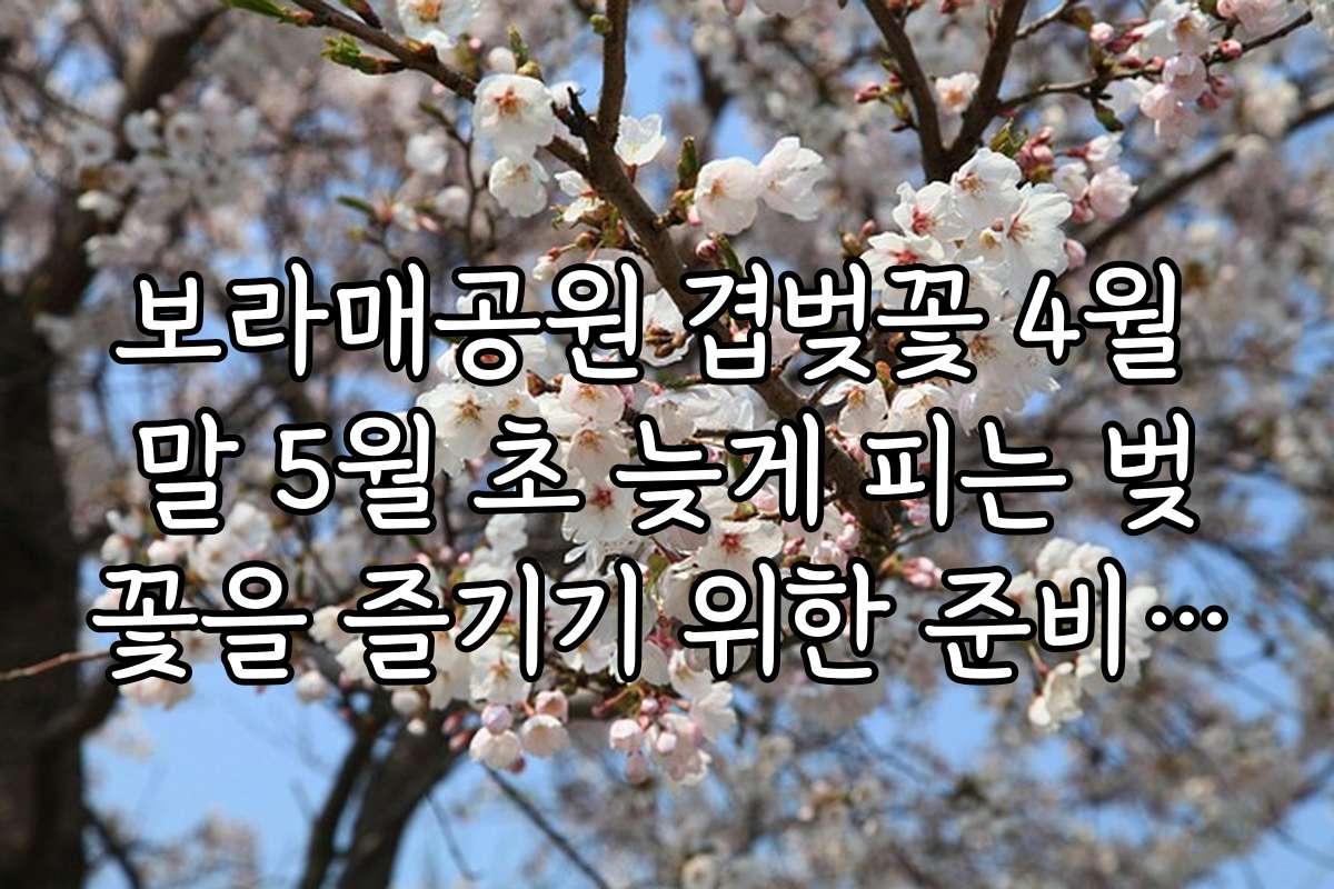 보라매공원 겹벚꽃 4월 말 5월 초 늦게 피는 벚꽃을 즐기기 위한 준비물과 방문 전 체크리스트 제공