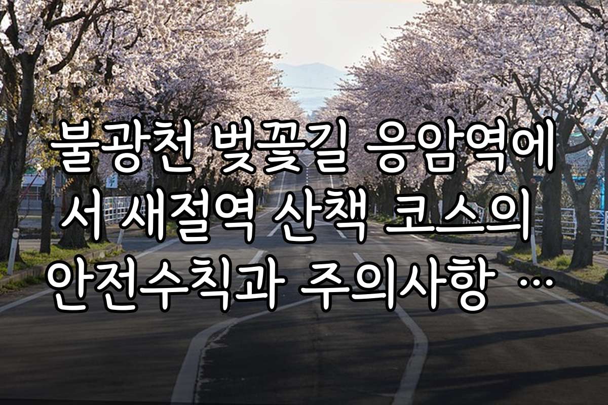 불광천 벚꽃길 응암역에서 새절역 산책 코스의 안전수칙과 주의사항 정리