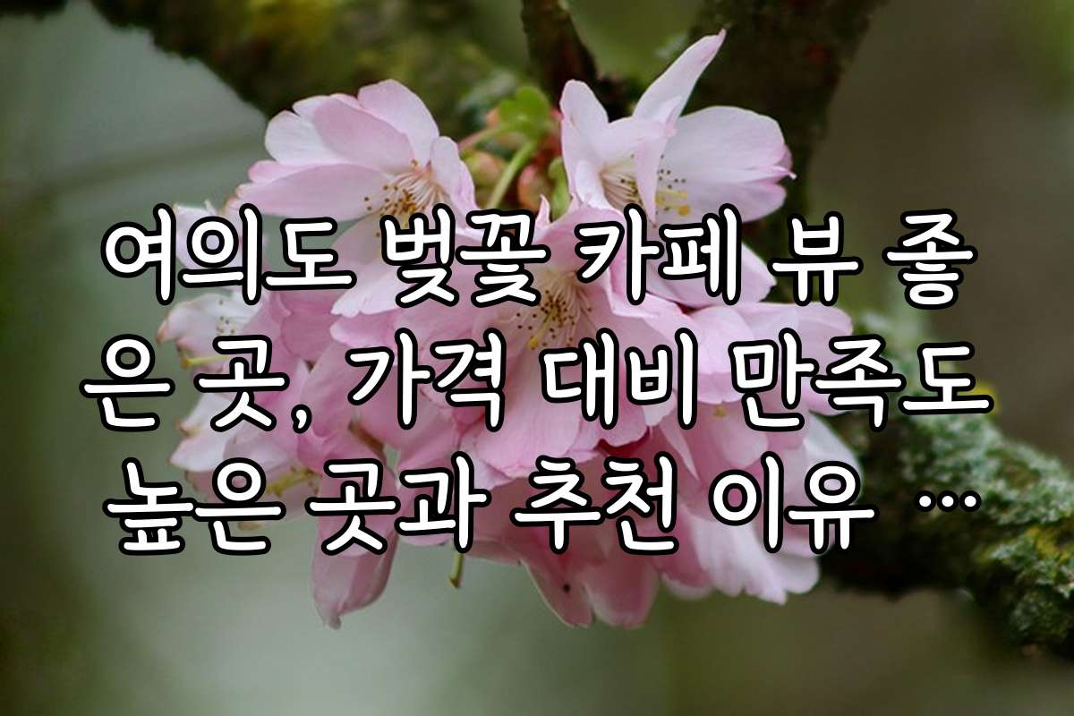 여의도 벚꽃 카페 뷰 좋은 곳, 가격 대비 만족도 높은 곳과 추천 이유 살펴보기