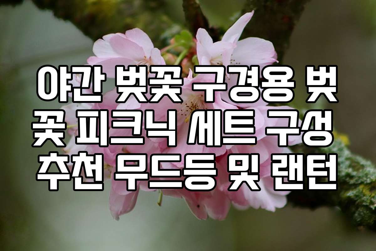 야간 벚꽃 구경용 벚꽃 피크닉 세트 구성 추천 무드등 및 랜턴