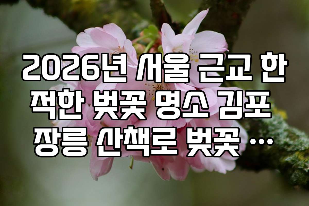 2026년 서울 근교 한적한 벚꽃 명소 김포 장릉 산책로 벚꽃 풍경