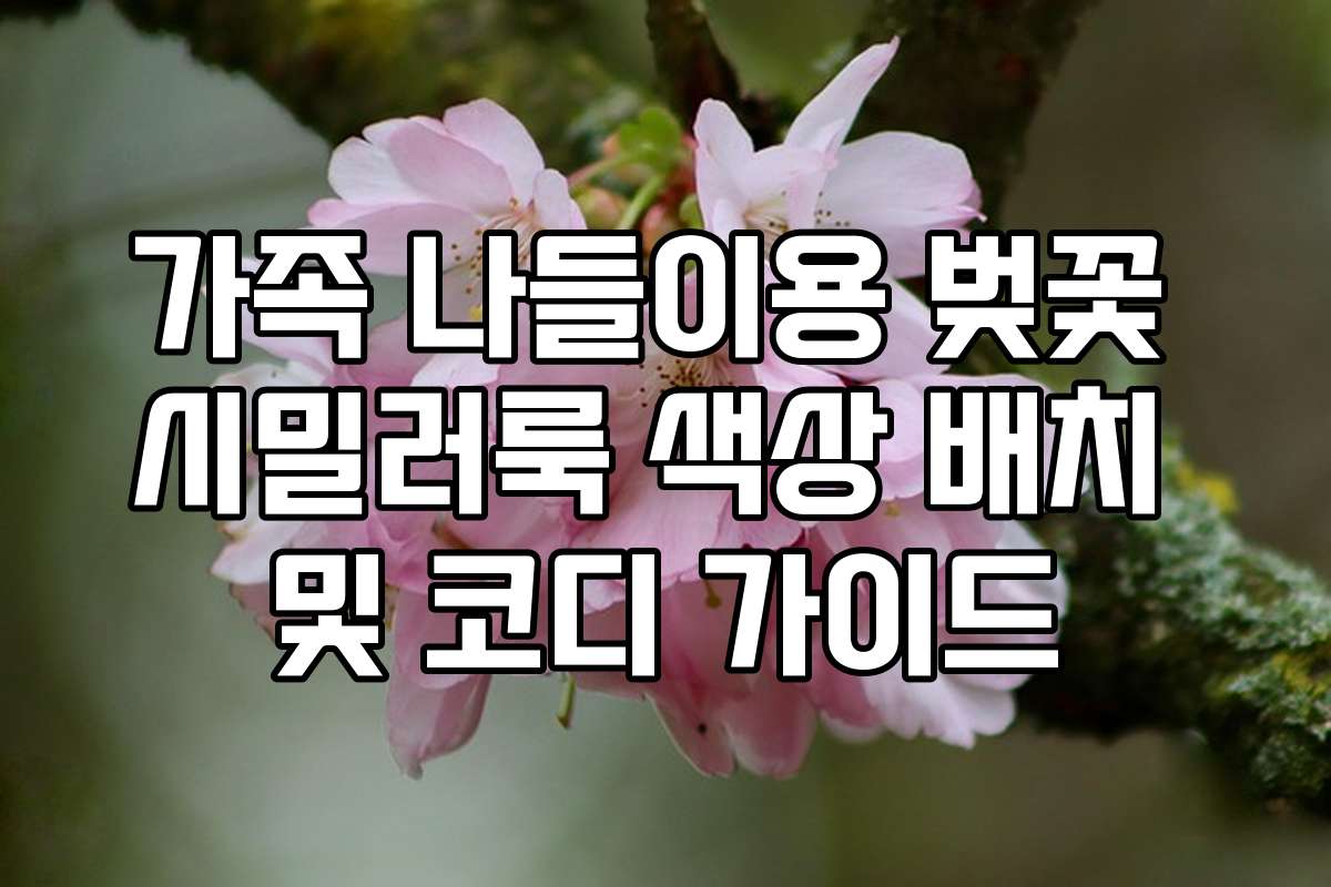 가족 나들이용 벚꽃 시밀러룩 색상 배치 및 코디 가이드