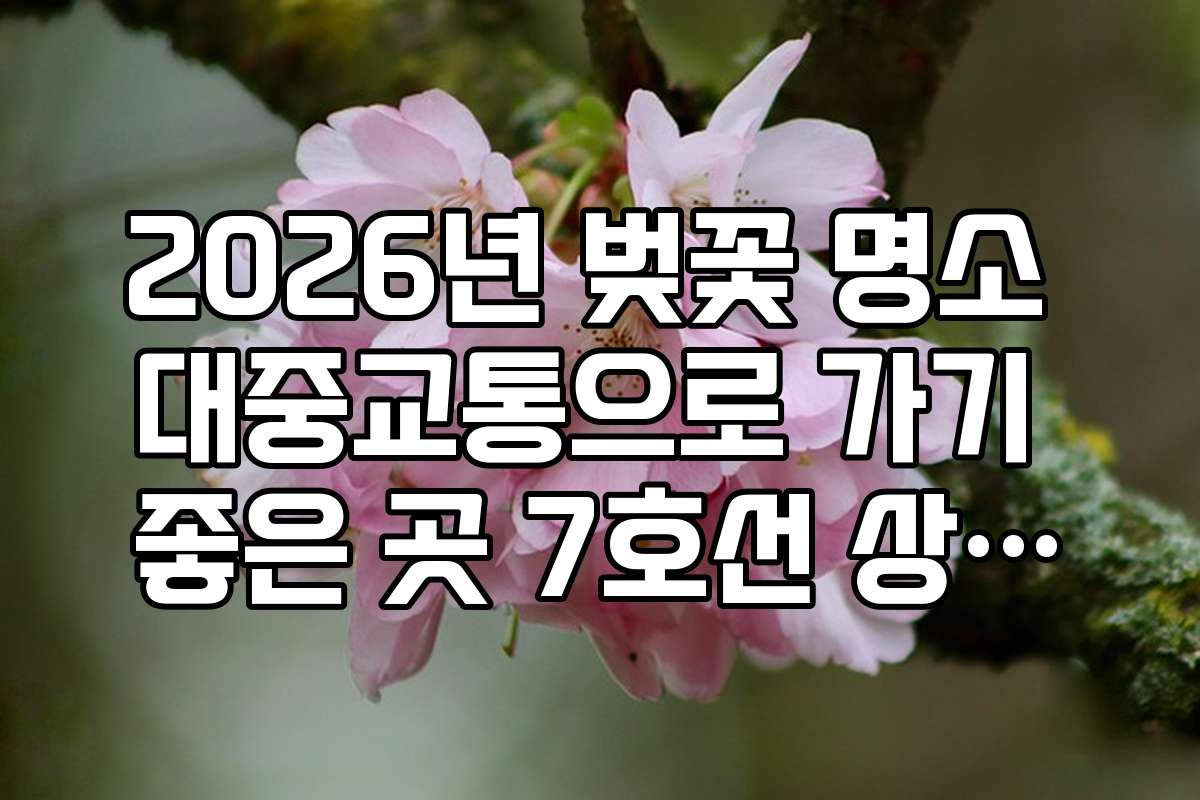 2026년 벚꽃 명소 대중교통으로 가기 좋은 곳 7호선 상동역 호수공원