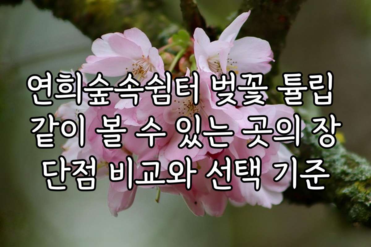 연희숲속쉼터 벚꽃 튤립 같이 볼 수 있는 곳의 장단점 비교와 선택 기준
